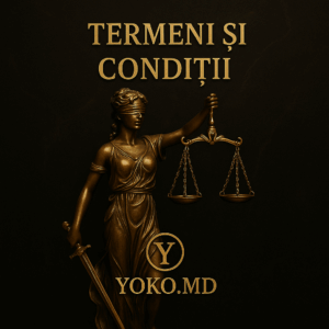 Termeni si conditii